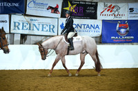 Amateur Hunter Under Saddle
