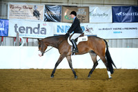 Junior Hunter Under Saddle