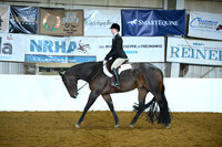 Level 1 Amateur Hunter Under Saddle