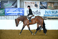 Level 1 Open Hunter Under Saddle