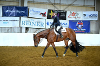 Level 1 Youth Hunter Under Saddle