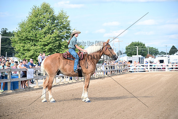 AJB_0372