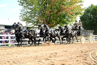 AJB_0483
