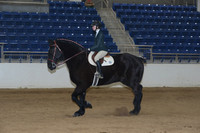 Youth English Riding