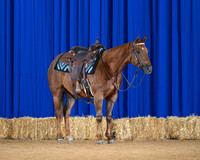 horse1_8755-saddle
