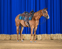 horse3_8755-saddle