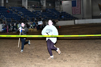 Stick Horse Race