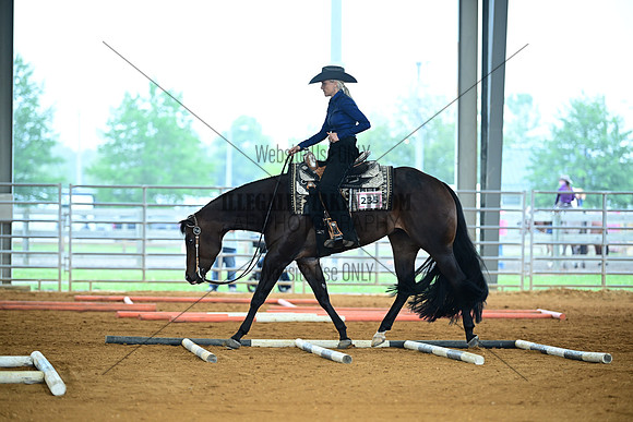 AJB_0471
