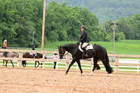 AJB_6932
