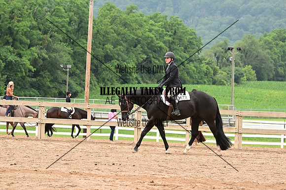 AJB_6932