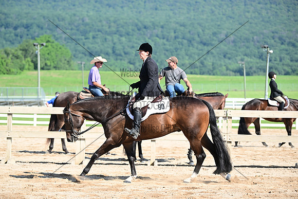 AJB_6521