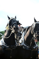 AJB_0505