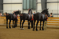 Sr. Youth Showmanship-10