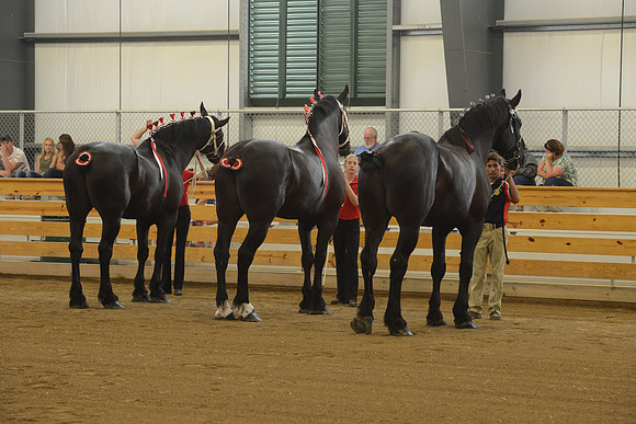 Sr. Youth Showmanship-10
