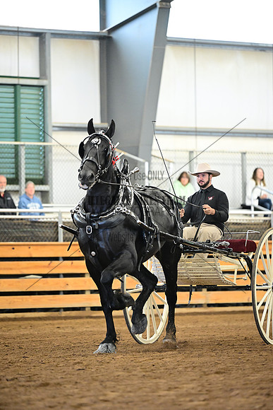AJB_7317