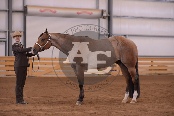 AJE_2298