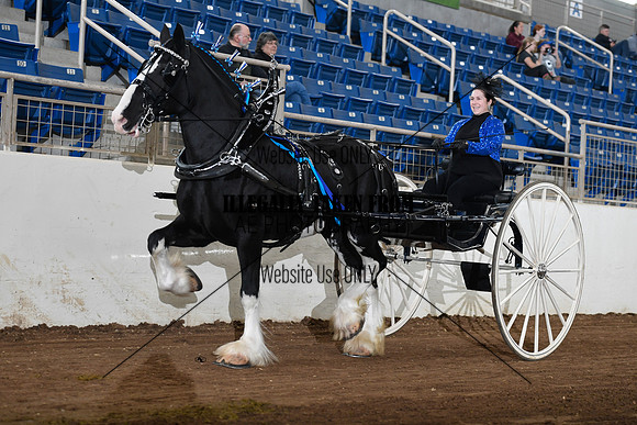 Shires_4763