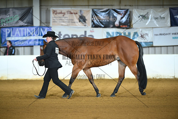 ASH_0047