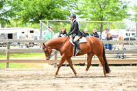 Amateur Hunter Under Saddle