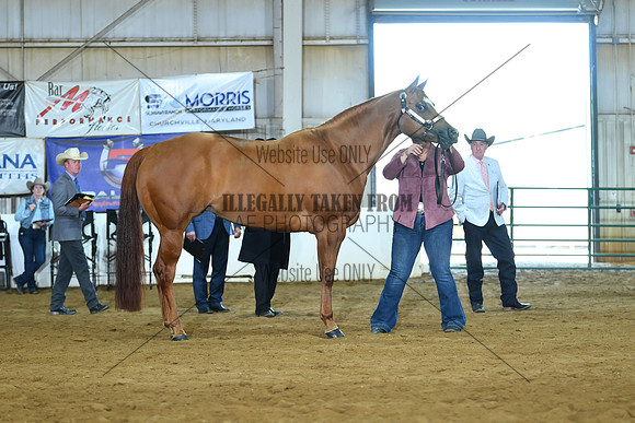 ASH_0857