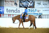 All Breed Western Pleasure