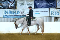All breed WJ Western Pleasure