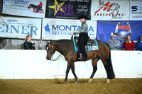 Lvl 1 Amateur Western Pleasure