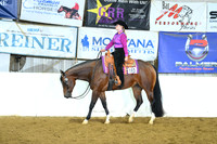 Lvl 1 Youth Western Pleasure