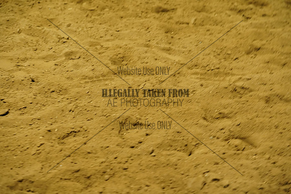 TMW09670