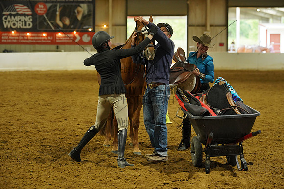 TMW09223