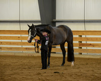 Western Showmanship