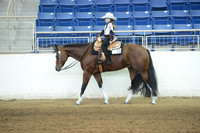 Western Pleasure