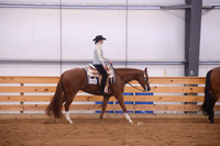 Western Pleasure