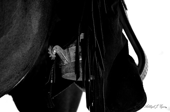bw_spur