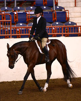 Hunter Under Saddle