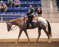 Western Pleasure