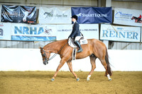 Amateur Hunter Under Saddle