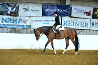 Lvl 1 Amateur Hunter Under Saddle