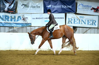 Lvl 1 Hunter Under Saddle