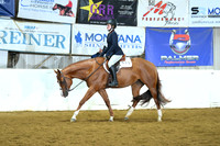 Youth WT Hunter Under Saddle