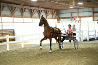 Lot 15