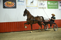 Lot 17