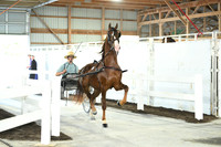 Lot 23