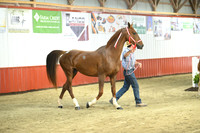 Lot 30