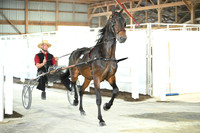 Lot 34