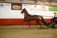 Lot 37