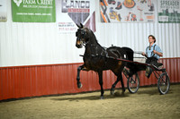 Lot 4
