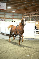 Lot 41