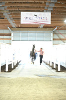 Lot 42