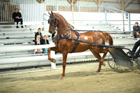 Lot 5